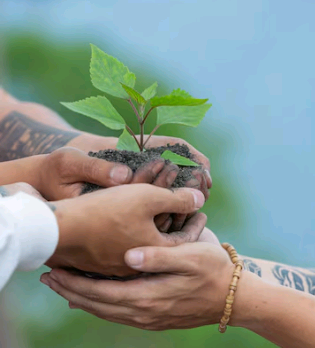 Artigo – Dia Mundial do Meio Ambiente: restauração de terras, desertificação e resiliência à seca – por Valter Casarin