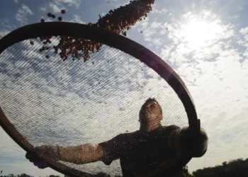 Brasil assina acordo com a China para aumentar a exportação de café