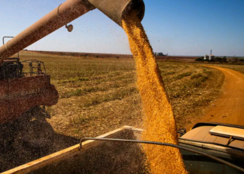 Brasil colherá 297,5 milhões de toneladas de grãos, estima a Conab