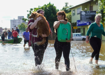 Artigo – A importância da comunicação humanizada – por Reinaldo César