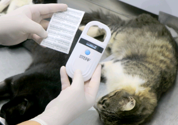 Agendamento para castração gratuita na região do Jd. Florence será nestas 3ª e 4ª