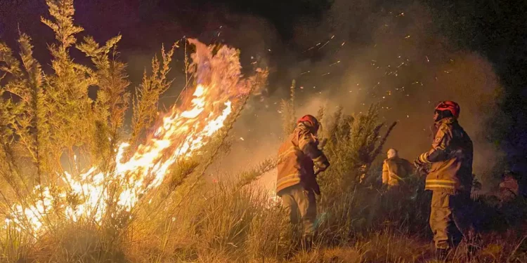Bombeiros conseguiram controlar o incêndio iniciado sexta-feira no Parque Nacional de Itatiaia. Foto: Corpo de Bombeiros/Divulgação