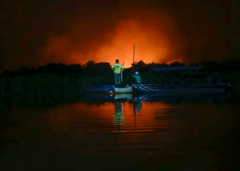 Pantanal em chamas, a falência civilizatória – por José Pedro Martins