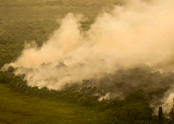 Com incêndios, Mato Grosso do Sul decreta situação de emergência