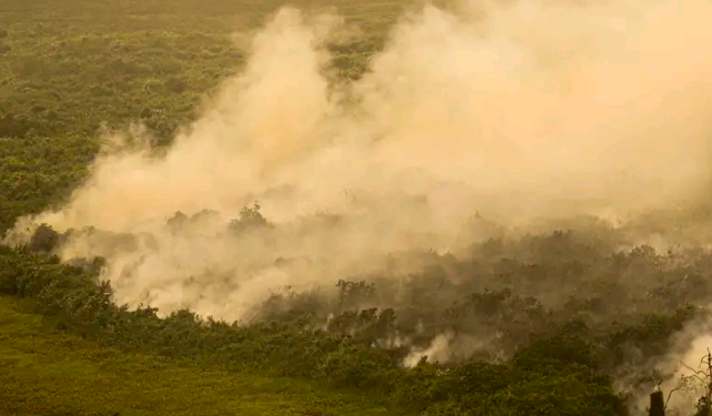 Com incêndios, Mato Grosso do Sul decreta situação de emergência