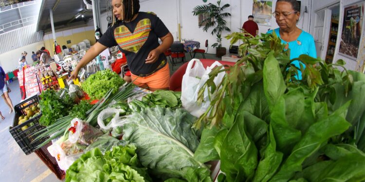 Feira de produtos agroecológicos acontece aos sábados na loja do Livres no bairro Guanabara, em Campinas 
Crédito: Divulgação