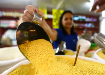 Em 2023, população brasileira ocupada passou dos 100 milhões