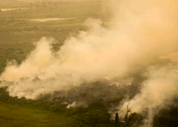 Pantanal em chamas, a falência civilizatória – por José Pedro Martins