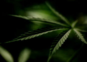 Artigo: ‘Brasil líquido ou estrelado?’ – por Guilherme Athayde Ribeiro Franco