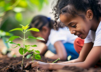 Velho e novo PNE pecam e o Brasil perde chances históricas – por José Pedro Martins