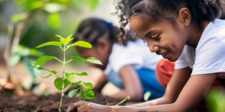 Velho e novo PNE pecam e o Brasil perde chances históricas – por José Pedro Martins