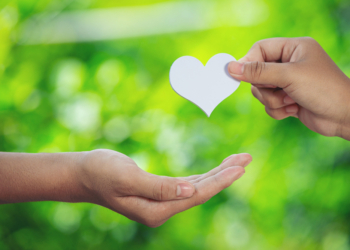 A arte de partilhar – por Ludimila Rezende Santos