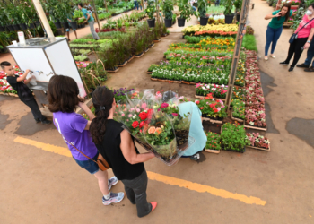 Ceasa abre licitação para 162 Boxes no Mercado de Flores