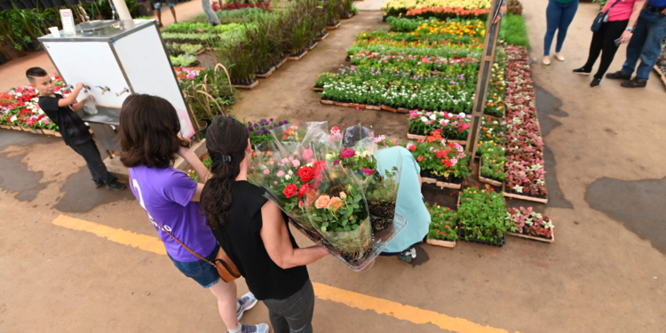 Ceasa abre licitação para 162 Boxes no Mercado de Flores