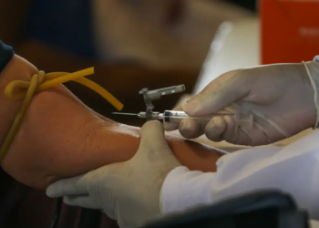 Bahia confirma mortes de duas mulheres por febre oropouche