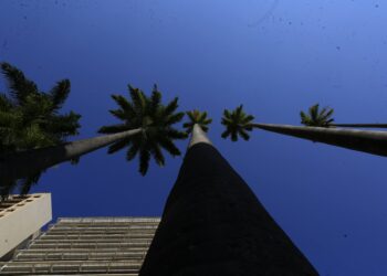 Motivos para amar Campinas – Lugares