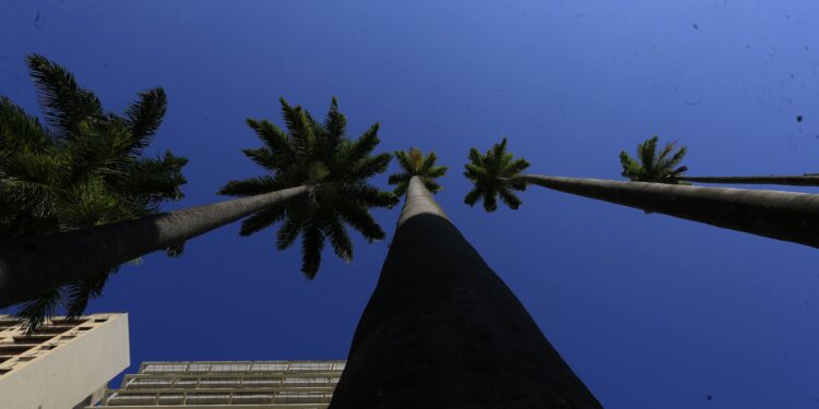 Motivos para amar Campinas – Lugares