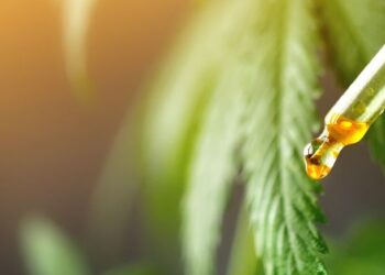 Produtos à base de canabidiol chegam ao SUS e Campinas é referência para 43 municípios