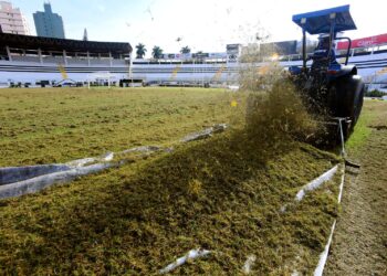 Ponte aproveita sequência longe do Majestoso para instalar nova grama de inverno
