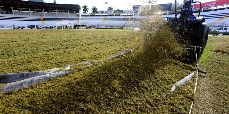 Ponte aproveita sequência longe do Majestoso para instalar nova grama de inverno