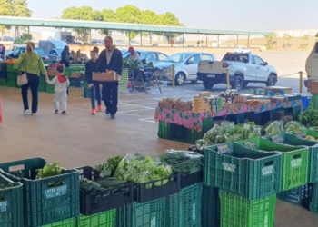 Feira orgânica da Ceasa ocupa novo espaço no Mercado de Flores