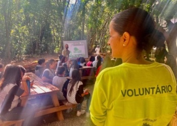 Mata de Santa Genebra abre vagas para programa de voluntariado