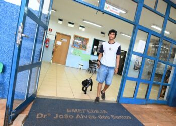 Como um cão de serviço transformou a vida de um jovem com epilepsia em Campinas? – por Kátia Camargo