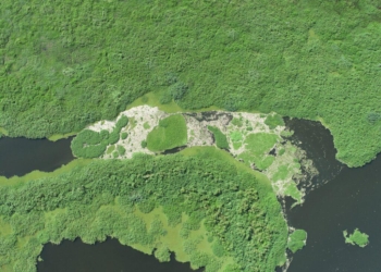 Cetesb multa usina em R$ 18 milhões por desastre ecológico no Rio Piracicaba