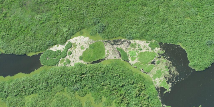 Cetesb multa usina em R$ 18 milhões por desastre ecológico no Rio Piracicaba