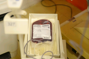 Campinas promove na quarta-feira campanha de doação de sangue