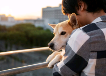 Artigo – Lei Estadual: proteção, saúde e bem-estar na criação e comercialização de cães e gatos – por Renata Franco