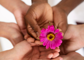 Artigo: A atendente, o general, o judiciário e o necessário – por Vanessa Crecci