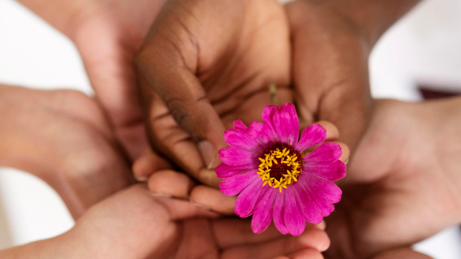 Artigo: A atendente, o general, o judiciário e o necessário – por Vanessa Crecci