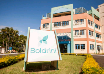 Motivos para amar Campinas – Saúde – Ciência – Pesquisa – Inovação