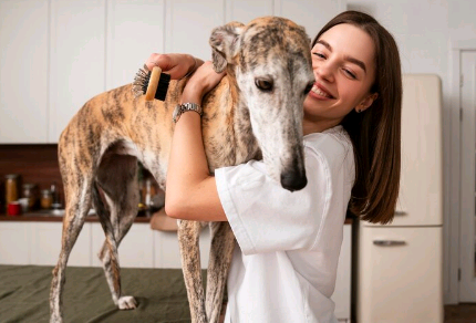 Governo de SP sanciona lei para bem-estar de cães e gatos no estado