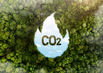 Brasil pode lucrar até US$ 120 bilhões e criar 8 milhões de empregos com mercado de carbono até 2030