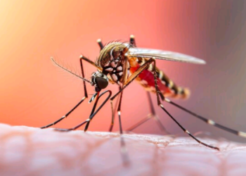 O grande desafio de enfrentamento das doenças vetoriais através do mundo – por Carmino de Souza