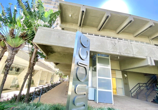 Motivos para amar Campinas – Educação e Cultura