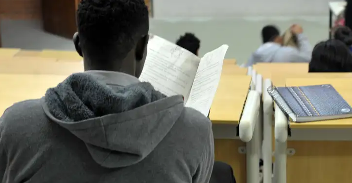 Ministério da Educação fará consulta sobre eficácia de política de cotas em universidades