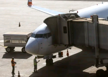 Comissão do governo vai definir regras para transporte aéreo de pets