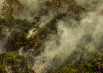 A guerra climática avança – por José Pedro Martins