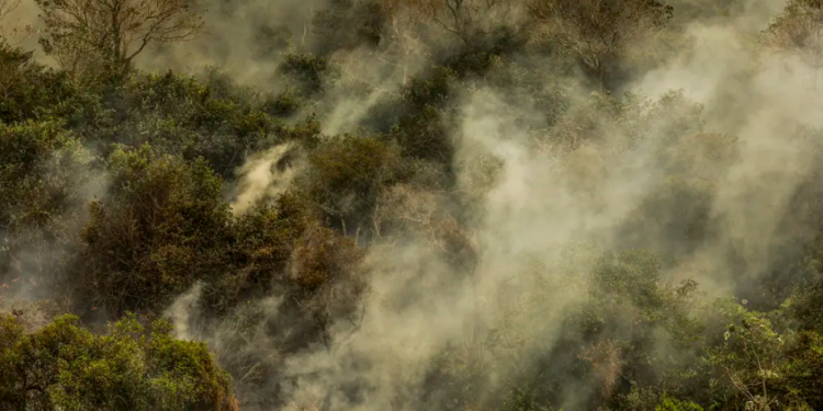 A guerra climática avança – por José Pedro Martins