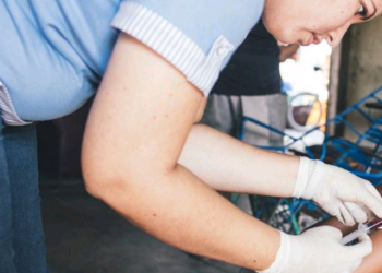 Opas faz alerta sobre transmissão materno-infantil do vírus Oropouche no Brasil