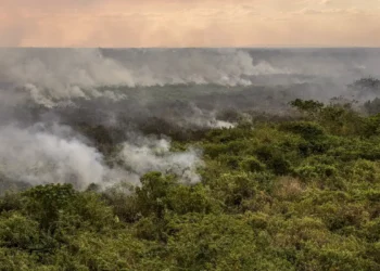 Estudo prevê crise hídrica histórica no Pantanal em 2024