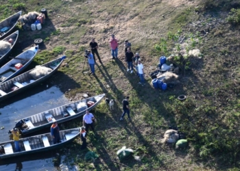 Estado reduz juros para pescadores afetados pelo desastre ambiental no Rio Piracicaba
