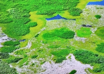 Trator aquático inicia remoção de peixes mortos no Piracicaba