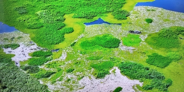 Trator aquático inicia remoção de peixes mortos no Piracicaba
