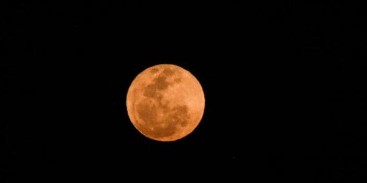 Veja a primeira Superlua de 2024 nos céus de Campinas nesta segunda