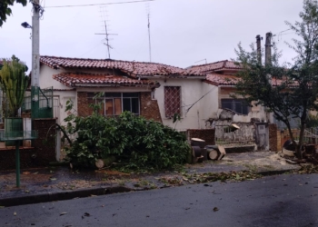 Sobe para 52 o número de árvores derrubadas com o vendaval em Campinas
