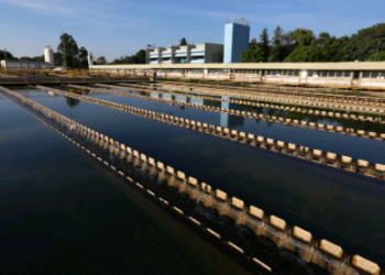 Sanasa ganha ‘Troféu Transparência 2024’ promovido pela Anefac